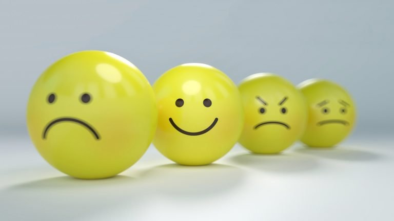 social emotional learning